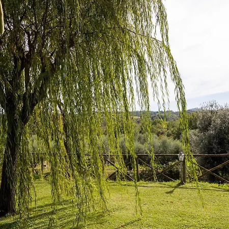 Bauernhof La Collina Pitigliano