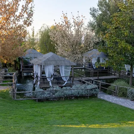 La Collina *