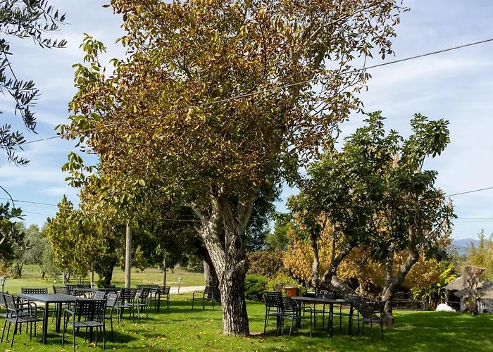 La Collina Bauernhof *